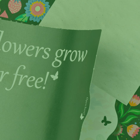 seedcards-hybrid-thmbs seedcards-hybrid-thmbs